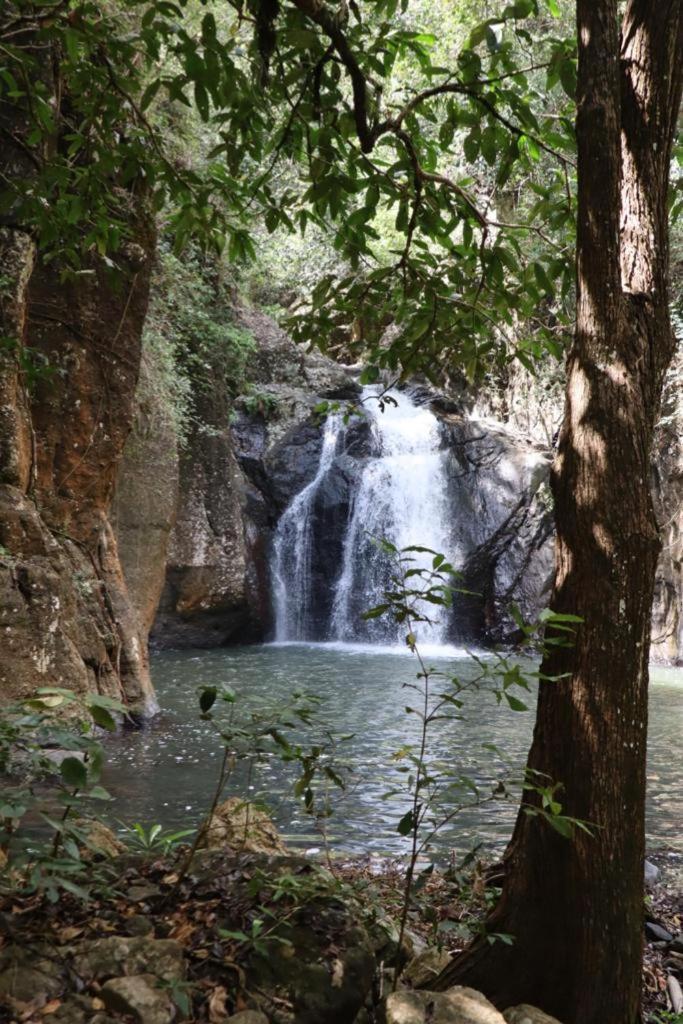 Home Stay Wolokoro Ecotourism Bajawa Екстер'єр фото